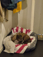 /album/10-11-2025/afbeelding-van-whatsapp-op-2025-09-27-om-18-54-22-f9911b59-jpg/